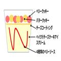 ハーゲンダッツ、ファミリーマート限定ミニカップ「ベリーベリーチーズタルト」濃厚なチ