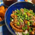 ご飯がすすむ「丼もの」レシピ特集　食材を生かした美味しい味付けのコツは？ - ビューテ