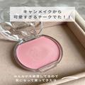 【キャンメイク】美容オタクが絶賛するおすすめコスメ4選 - ビューティーガール