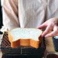 炭火で焼くねこ型食パン「イクスカフェの朝ごはん」が待望の販売再開！ - ビューティーガ