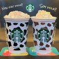 【スタバ】「過去一好き！」の声も、注目の新作ティーラテ - ビューティーガール