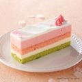 ドトールコーヒー“#ドトールさくら祭り”を開催！桜の花のソースを使ったドリンクにピン
