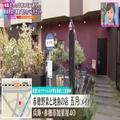 約20種類がどーん！地元食材を堪能できる「ランチ限定セット」 - ビューティーガール