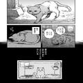 野良猫より地獄なのは“放置された飼い猫”、猫マンガ家に聞く想い | ビューティーガール