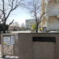 ミシュラン一つ星・鳥羽周作シェフが地元小学校に「最高の給食」をお届け 喜ぶ児童の姿に