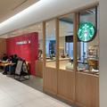 店舗限定！【スタバ】飲んだら自慢できる、日本で8店舗だけの「さくらドリンク」って？