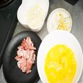 1000万再生超えの“炒飯”は本当に美味いのか検証 シンプルなのにクセになる… - ビューティ