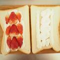 きれいな「断面」のポイントは？「いちごサンド」の作り方と、いちごの並べ方3パターン