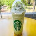 スタバ、「メロンフラペチーノ」が最高 昨年からパワーアップしたところも… - ビューティ
