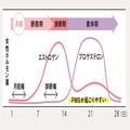 20～30代の多くが悩んでいる【PMS】って何で起こるの？｜症状や仕組み、治療法など詳しく解