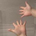 工場バイトで学んだライフハック　通販の段ボールを素手で開ける技とは？ - ビューティー