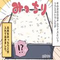 ゴミ箱に弁当が捨てられていた！？翌日⇒夫「こんな弁当作るなんて」怒りが収まらない妻
