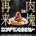 CoCo壱番屋、完売続出した限定メニューが6日から再販 “肉塊”がパワーアップ - ビューティ