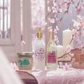 春を彩る心地いい香り！SABON（サボン）に青空に透けるフレッシュな「サクラ・ブルーム コ
